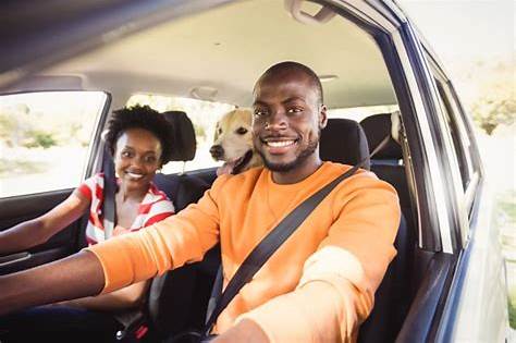 driving license what can i drive